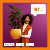 Wiz Pametna stenska svetilka z žarnico GU10, 5 W Up&Down – | Shoptok.si