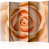 Paravan u 5 dijelova - Peach-colored rose II [Room Dividers] 225x172 Cijene