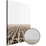  Slika - Corn Field (1 Part) Vertical 80x120 Premium Print | shoptok.hr