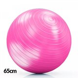  Df lopta za pilates 65cm pink Cene'.'