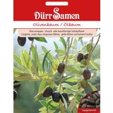 Dürr Samen Oljka Cene