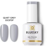  BLUESKY TRAJNI LAK QUIET GREY 15ML | Eponuda.ba