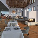  SCHMID EKKO U U 60(90) trostrani kamin na drva | Eponuda.ba