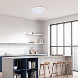 Rabalux LED plafonjera sa daljinskim Alenzo, 36W, 3000-6000K, 42cm, IP44, Bela | Eponuda.com