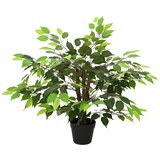 Umjetna ficus biljka Zelena 73 x 16 x 60 cm Tkanina i drvo Cijene