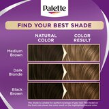 Schwarzkopf Palette Intensive Color Creme permanentna barva za lase odtenek 7-65 (LG5) Sparkling Nougat 1 kos | Shoptok.si
