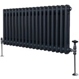 Monster tradicionalni radiator z 2 stolpcema - 300 x 832 mm - antracitno siva, (21569839) | Shoptok.si
