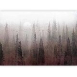  Foto tapeta - Bird\'s flight over treetops - landscape of a dark forest in fog 400x280 Premium | shoptok.hr