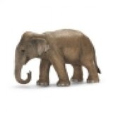 Schleich dečija igračka azijski slon, ženka 14654 | Eponuda.com