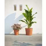 Artevasi Tegla za cvijeće od terakote ø 39 cm Manuel – | shoptok.hr