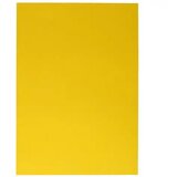 Spirit Spirit: Zlato rumeni dekorativni karton 220g A/4 1 kos | Shoptok.si