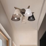  Brilagi - LED Plafonski luster ANTHONY 5xE14/40W/230V, hrast-orah | Eponuda.com
