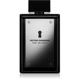 Antonio Banderas The Secret toaletna voda 200 ml za moške | Shoptok.si