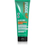 Fudge Clean Mint Shampoo šampon za masnu kosu 250 ml | shoptok.hr