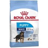 Royal Canin Maxi Puppy 4 kg
