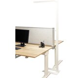 Maul Stoječa LED-svetilka jura, z zatemnitvijo, skupna višina 1985 mm, bele barve | Shoptok.si