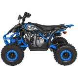 Quad na benzin DESERT STORM LIFT Combustion 125cc - modra | Shoptok.si