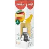 Dišava za sobo True Scents 60ml - mango