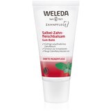 Weleda Dental Care balzam za dlesni z žajbljem 30 ml Cene