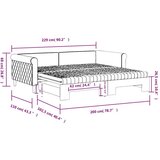  Izvlečna dnevna postelja z vzmetnico tem. siva 100x200 cm žamet, (20929873) | Shoptok.si