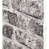  Zidne panele 10 pcs Tamno siva i bijela 100 x 50 cm EPS pjena | shoptok.hr