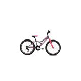 Capriolo mtb diavolo 400 24 18HT sivo-pink 13 (920303-13) muški bicikl Cene