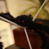 Halloween ukrašavanje pauka s mrežama 2 pcs Crno i bijelo | Eponuda.com