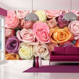  Tapeta - Pastel roses 450x270 | shoptok.hr