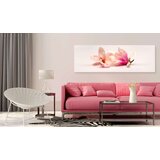  Slika - Beautiful Magnolias 150x50 | shoptok.hr