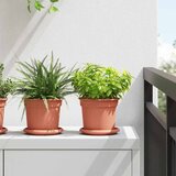  Kružni Pladanj za Cvijeće 24 pcs Crvena cigla Ø 14 x 2 cm | shoptok.hr