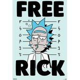 Grupo PLAKAT RICK Y MORTY FREE RICK, (20837628) | Shoptok.si