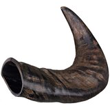 Trixie buffalo chewing horn - large Cene
