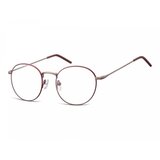 Berkeley naočare za kompjuter 938C | ePonuda.com