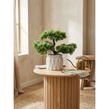 Sinsay Dekorativna biljka u saksiji – bonsai drvo | shoptok.hr