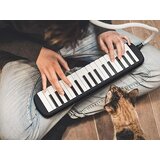  Muzikalni instrument, melodijska klavijatura s harmonikom, kutija i dva nastavka | shoptok.hr