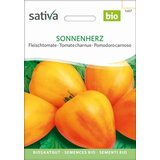 Sativa Mesnati paradižnik, srce sonca Cene