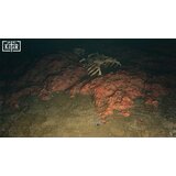 Soedesco Saint Kotar (Playstation 5) | Shoptok.si