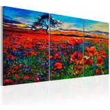  Slika - Valley of Poppies 120x60 Cijene