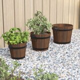  Komplet lesenih veder za rastline 3-delni trden les jelke, (20758734) | Shoptok.si