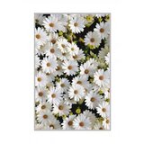 Conceptum Hypnose tepih (180x280) HMNT521 | ePonuda.com