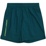 Under Armour Sportske hlače 'Woven' limeta zelena / kraljevski zelena