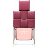 Fragrance World Ambroise Pour Femme parfumska voda za ženske 100 ml | Shoptok.si