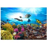 Tapeta - Coral reef 400x280 | shoptok.hr