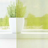 Voile zavjese s ušicama 2 kom zelene boje jabuke 140x300 cm | Shoptok.si