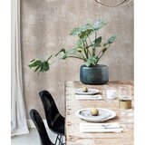 Noordwand Tapeta Concrete bež | Shoptok.si