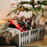 KIDYWOLF Automobil na daljinsko upravljanje, crveni | Shoptok.si