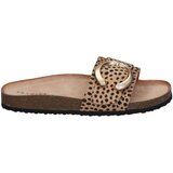 Skydiva Sandali & Odprti čevlji ME-RENTS Večbarvna Cene