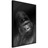  Poster - Intelligent Gaze 20x30 | shoptok.hr