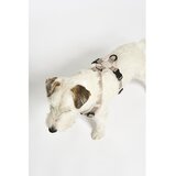 MiaCara Bež uprtač L dužina 42 cm Modena Greige L – | shoptok.hr