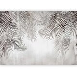  Foto tapeta - Night Palm Trees 245x175 | shoptok.hr